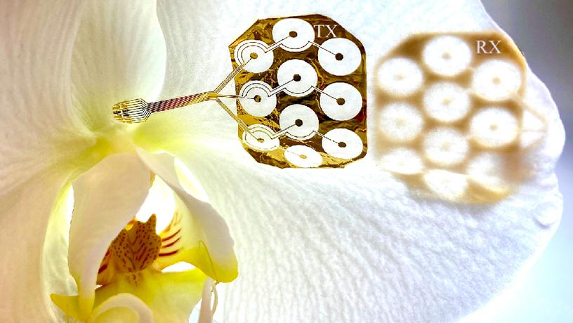 Flower petal electrodes