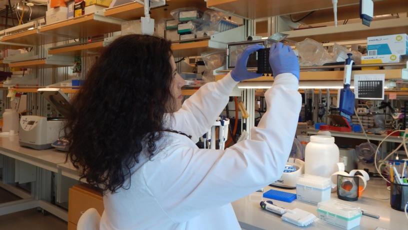 Sanja Vickovic our new faculty at Columbia Biomedical Engineering Department